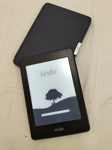 Kindle reader - kindle, e-reader