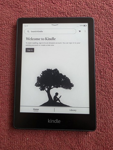 Amazon kindle paperwhite 32gb - kindle,
